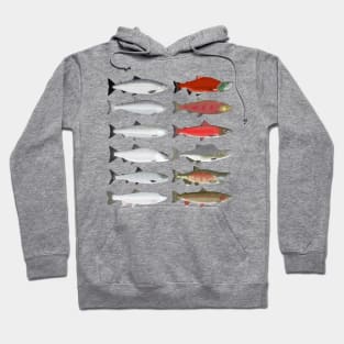 Pacific Ocean Salmon - Ocean and Spawn Stages Hoodie